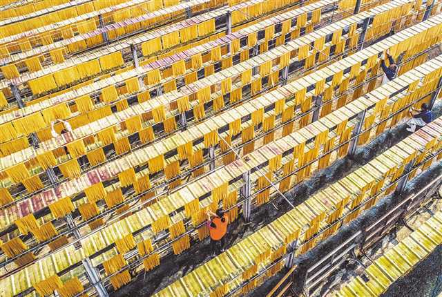 百年粉條與現代科技融合 配套項目建設與技術開發的雙輪驅動