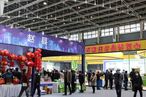 鑫慶余·石家莊名品博覽會 三千精品薈萃，共繪產(chǎn)業(yè)新圖景